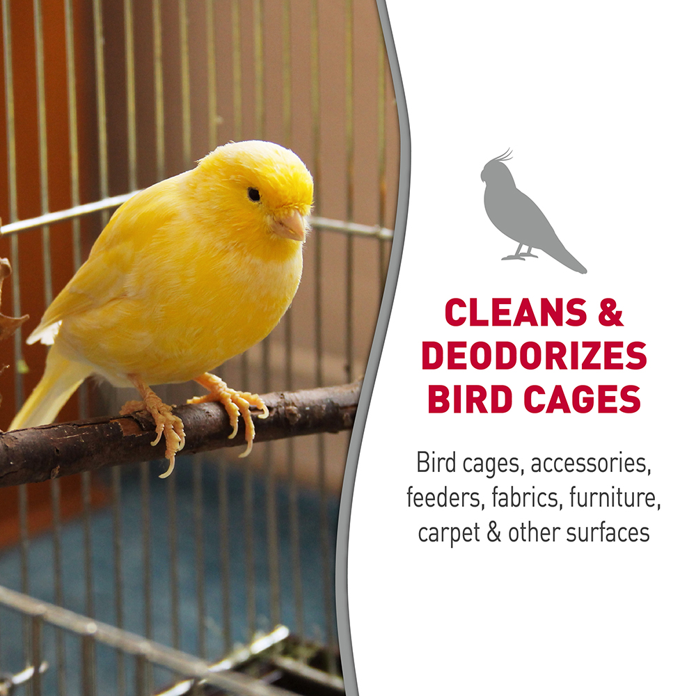 Bird sales cage wipes